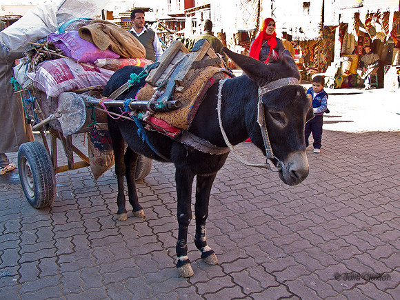 20130113-IMG_3514