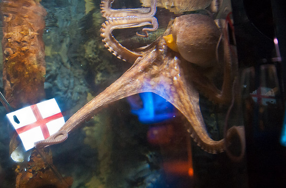 20120615-JMC_3504