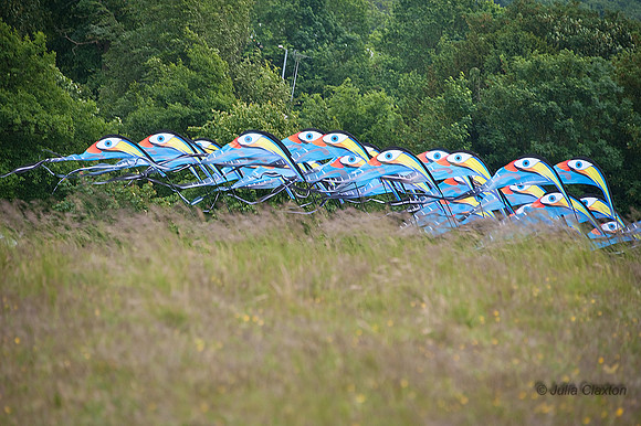 KITE_008