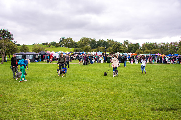 20150905-3348