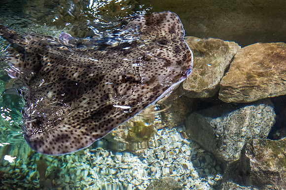 20130428-_JMC9669