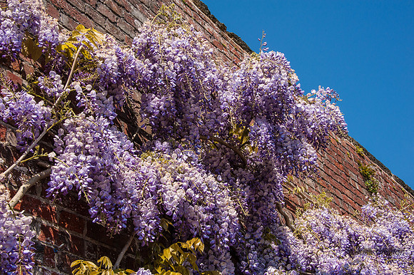 20130527-_JC10642