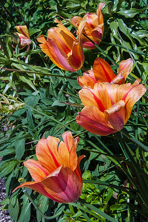 20130527-_JC10635