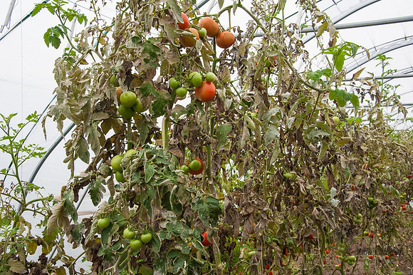 20131011-_DSC8911
