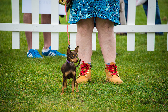 20140906-DSC_1259
