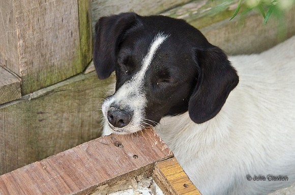 20120728-_DSC5823