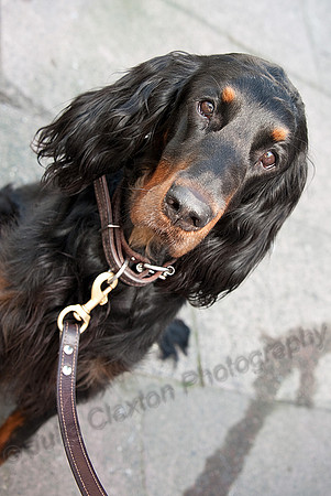 K9RW_JMC_0488