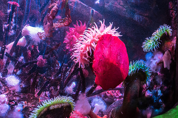 20160323-_DSC4381