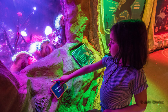 32-20160715-_DSC6240