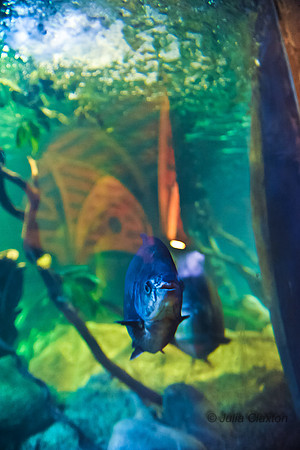 20120516-JMC_1371