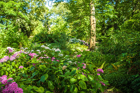20140718-_DSC6871