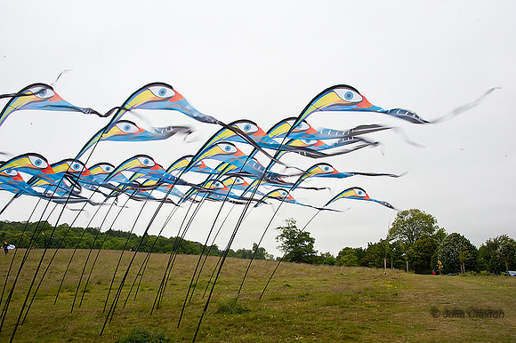 KITE_014