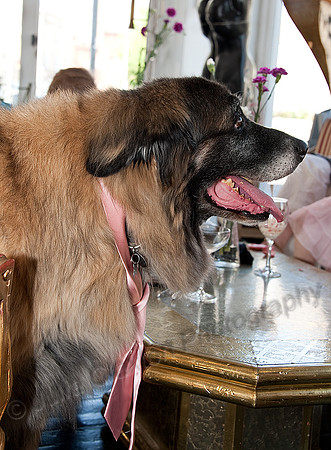 K9RW_JMC_0492