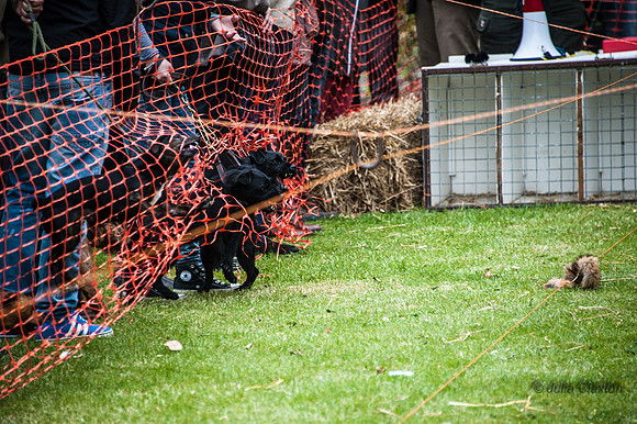 20130511-_JC10048