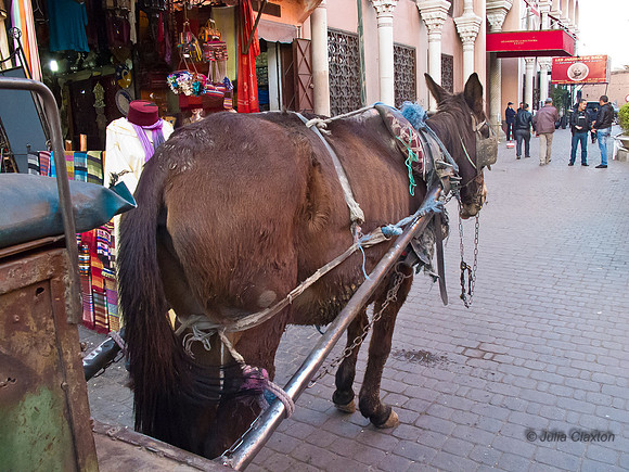 20130112-IMG_3302