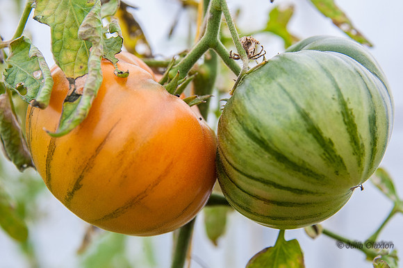 20131011-_DSC8936