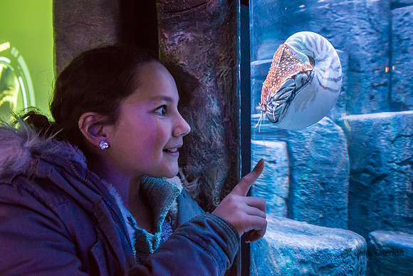 20150210-022DSC_0785