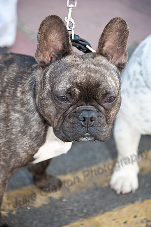 K9RW_JMC_0481