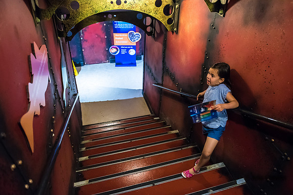 60-20160715-_DSC6115
