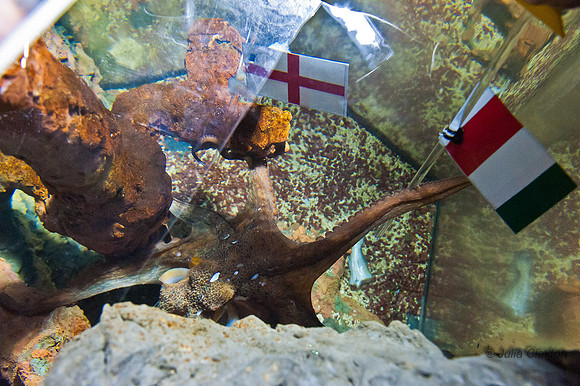 20120621-JMC_4173