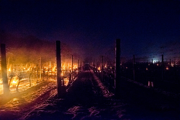 20160428-287