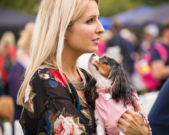 20140906-DSC_1445