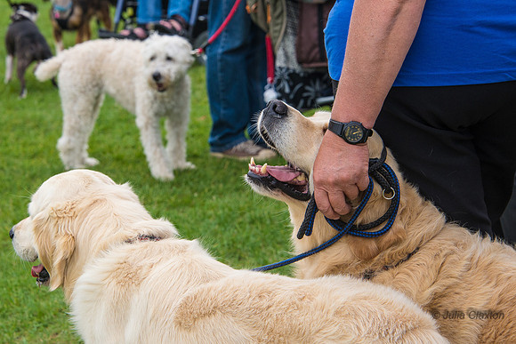 20140906-DSC_1218