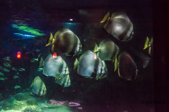 20130430-_DSC8007