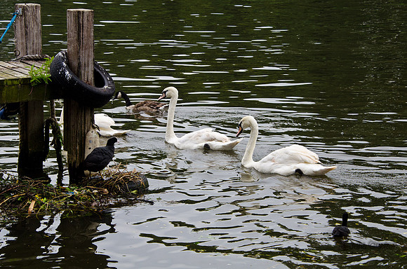 20120627-_DSC5462