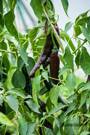 20131011-_DSC8922