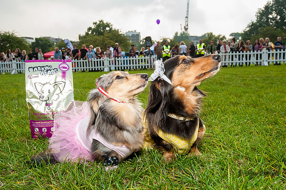 20140906-_JMC2757
