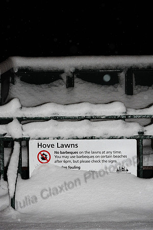 Snow JMC_2468