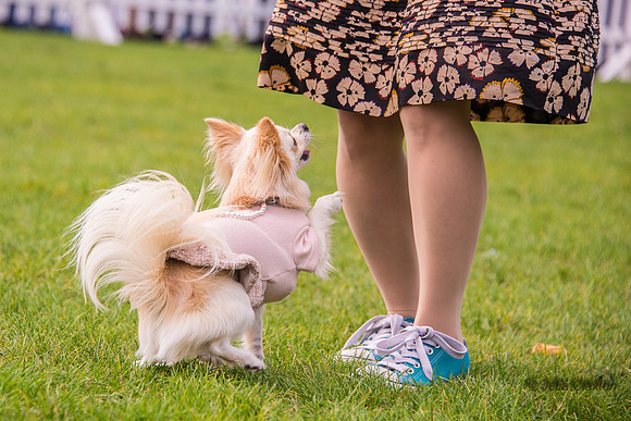 20140906-DSC_1509