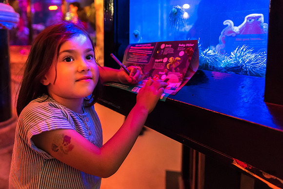 45-20160715-_DSC6089