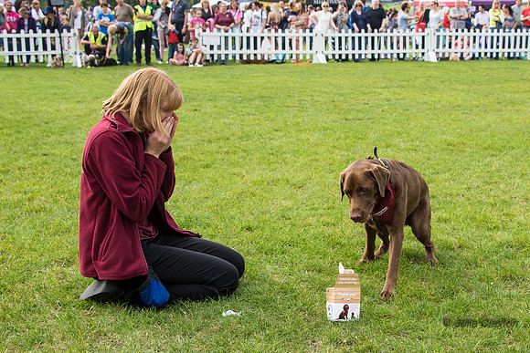 20140906-DSC_1498