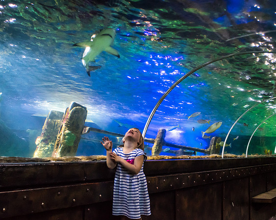 63-20160715-_DSC6141