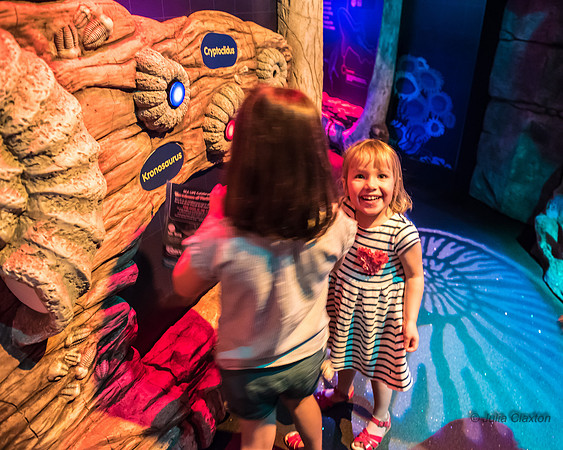 33-20160715-_DSC6246