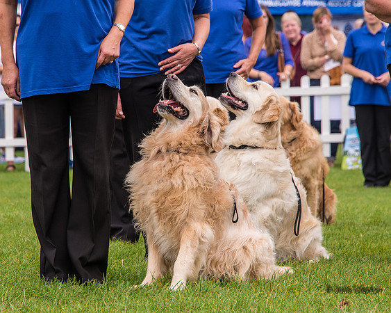20140906-DSC_1390